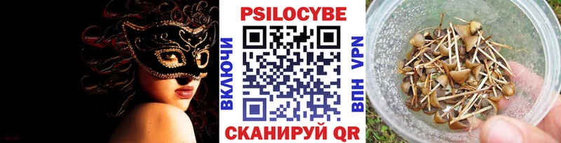 где купить наркоту Грязовец Галлюциногенные грибы ЛСД